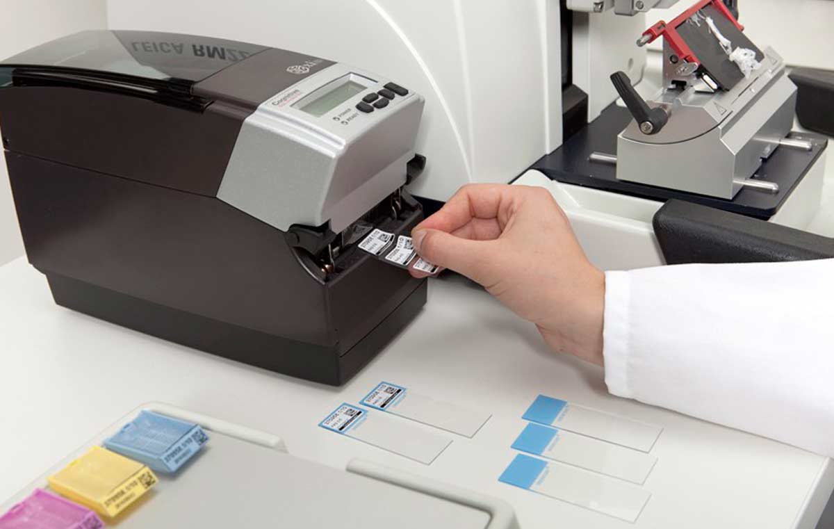 Impresión de identificación